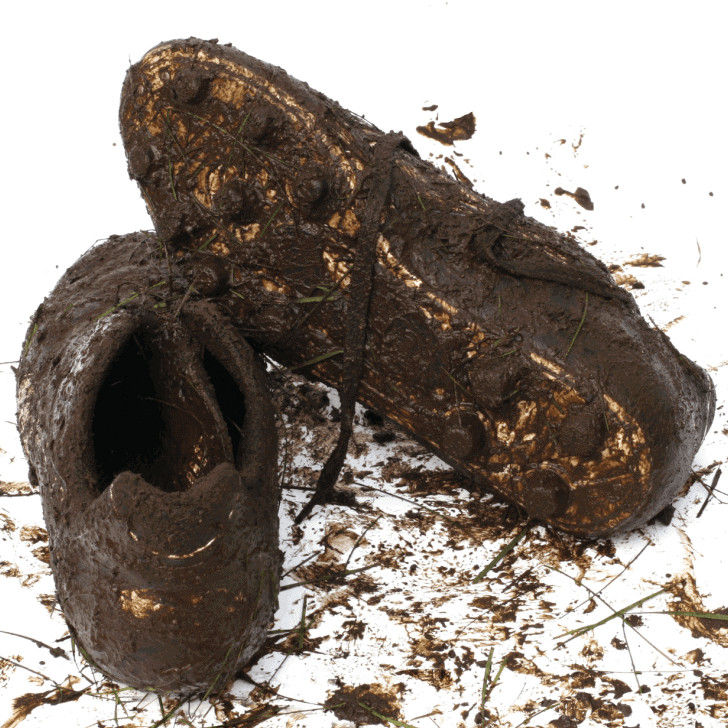 How to Clean White Trainers Cleaning White Trainers WD40®