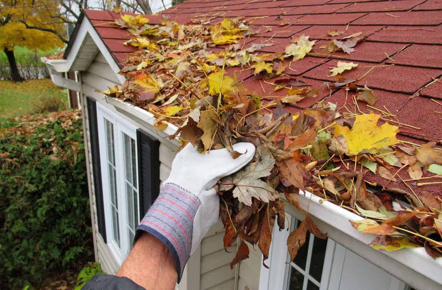 How To Clean Leaves From Gutters Clean Gutters WD40